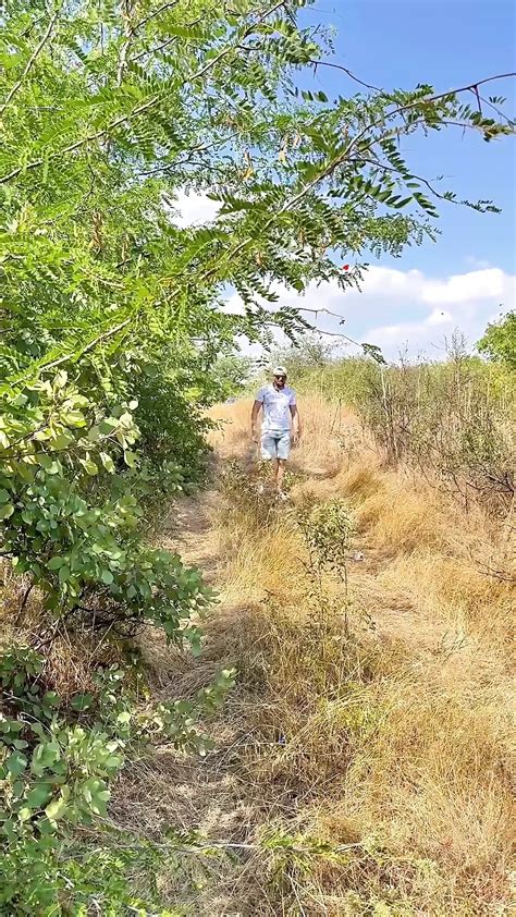 Vid Os Porno Gay Gratuites Dans Les Bois Xhamster