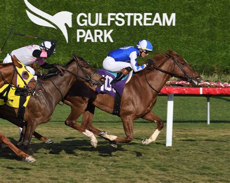 Sweet Dani Girl Stays Hot For New Connections With Gulfstream Optional Claiming Score FTBOA