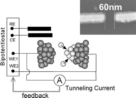 Schematics Of The Setup Electrodeposition Etching Of Cu Onto The