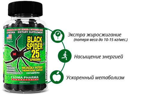 Жиросжигатель Black Spider 25 Ephedra, как принимать, инструкция по ...