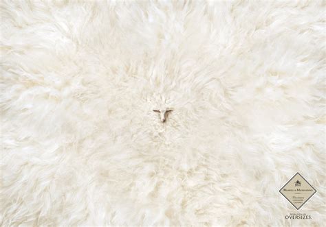 Cashmere Sheep • Ads Of The World™ Part Of The Clio Network