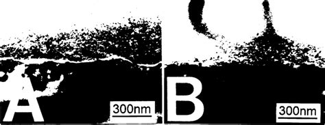 Cross Sectional Tem Micrographs Of Fz Sih4 Samples 111 Oriented