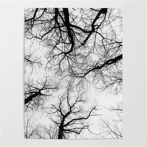 Naked Trees In Erlangen Germany Poster By Lindendesigns Society