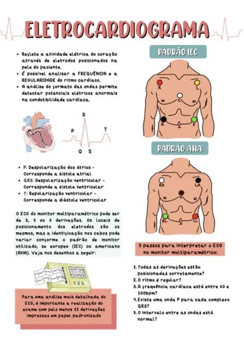 Pin De Anlivia Borges Em Enfermagem Material De Enfermagem Curso