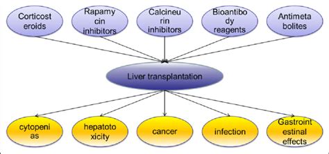 Common Classes Of Immunosuppressive Drugs In Liver Transplantation And