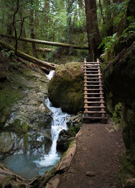 Mount Tamalpais State Park | The Dyrt