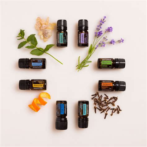 aromatouch technique doterra essential oils