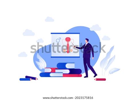 Sex Education Male Reproductive System Biology Stock Vector Royalty Free Shutterstock