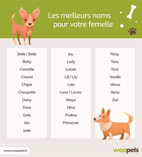 Les Meilleurs Noms Pour Votre Femelle Noms De Chien Femelle Prenom