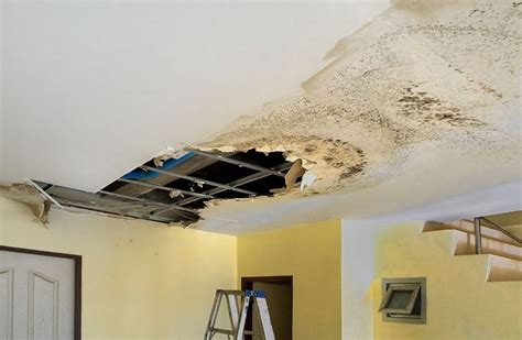 Ceiling Damage and Restoration Services in Little Rock, Hot Springs ...