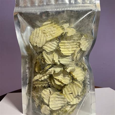 Dehydrated Pickle Chips Etsy