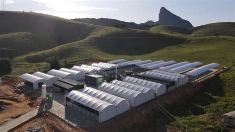 Netzero News