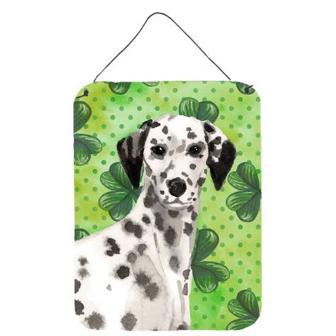 Carolines Treasures Bb9555ds1216 Dalmatian St Patrick S Wall Or Door Hanging P 16hx12w Qfc