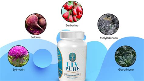 Liv Pure Review - Is Liv Pure Supplement Legit? - Legit Or No Reviews