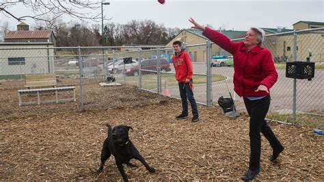Coronavirus: Sioux Falls Area Humane Society holds curbside adoptions