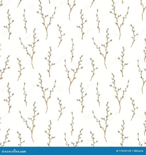 Watercolor Seamless Pattern With Pussy Willow Twigs Stock Illustration Illustration Of Design