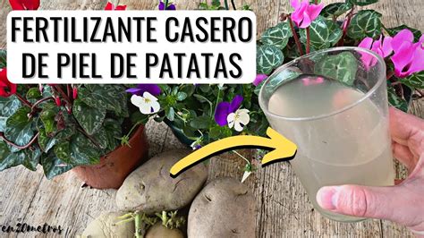 Cómo preparar agua de patata para que tus plantas crezcan y florezcan