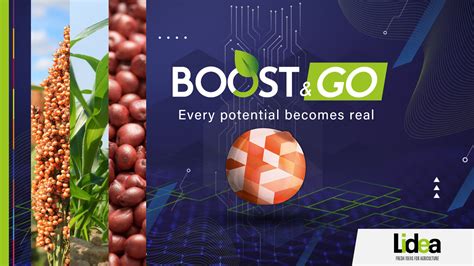 Lidea Boost Go Sorghum