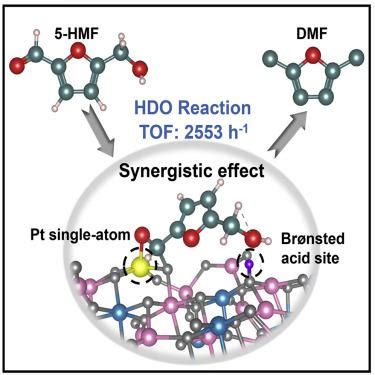 Single Atom Catalysts With Metal Acid Synergistic Effect Toward