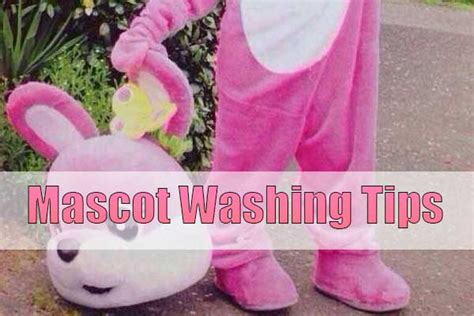 how to clean a mascot costume