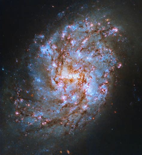 Hubble Space Telescope Science Institute