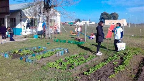 Huertas Para Escuelas Rurales Agroempresario