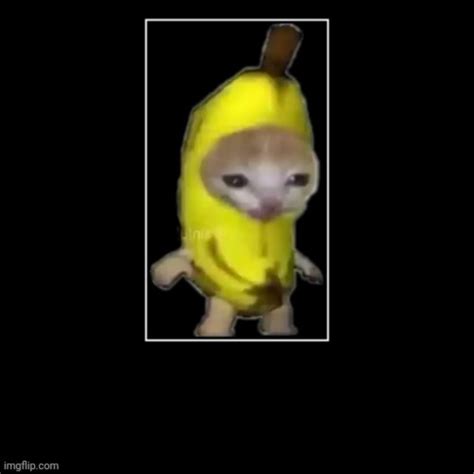 banana cat - Imgflip