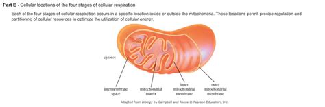 Solved Question | Chegg.com