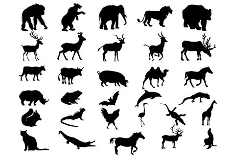 Svg Animals Silhouette Free 224 Best Quality File