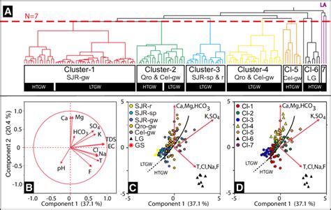 A Dendrogram Shows Hierarchical Clustering Analysis Classification