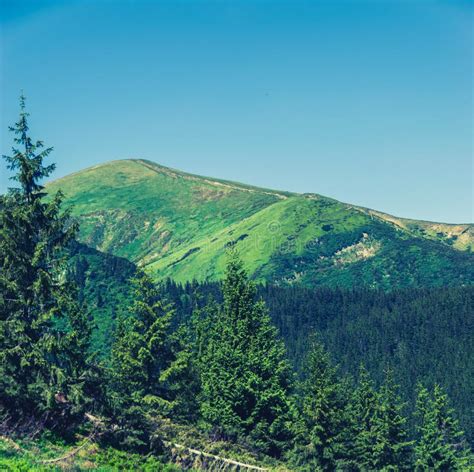 Hoverla, the Highest Mountain in Ukraine Stock Image - Image of ...