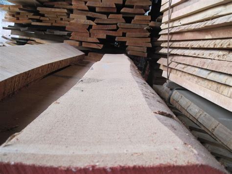 unedged beech lumber timber mijatovic  wood supplier