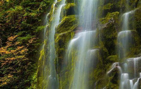 Wallpaper Autumn Branches Stones Rocks Foliage Waterfall Moss