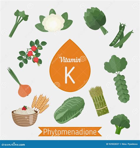 Foods With Vitamin K Phylloquinone at Erin Morrow blog