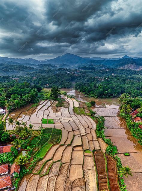 Premium Photo | The soilfood nexus how soil quality impacts nutritional