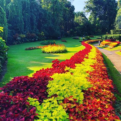 Peradeniya Botanical Garden