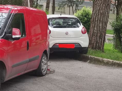 Auto Si Sfrena E Finisce Contro Un Albero Tragedia Sfiorata Capocronaca