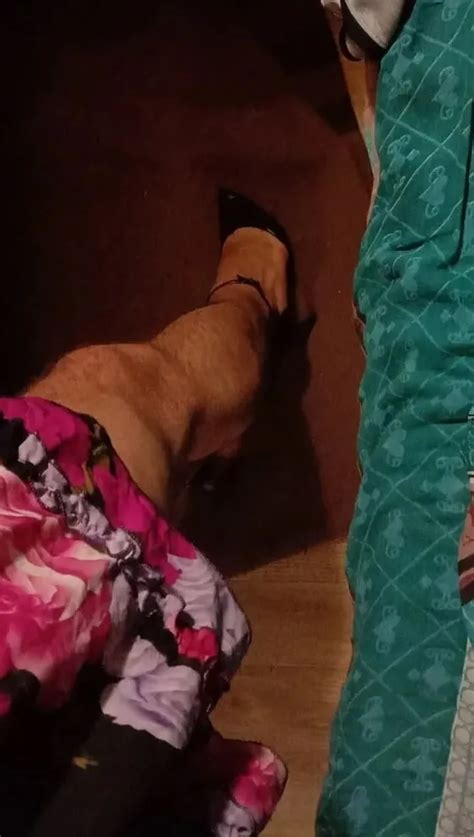 Sweet Memories 5 Nude Pics XHamster