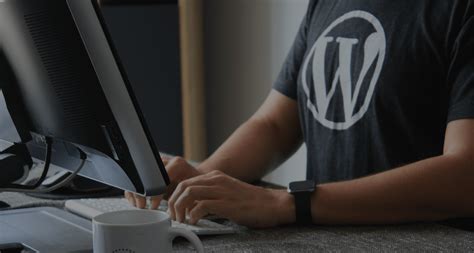 Conheça os 20 Melhores Temas Gratuitos do WordPress VivenSEO