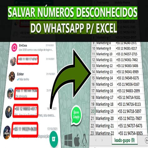 Save Leads Salvar Contatos Do Whatsapp Em Excel Massa