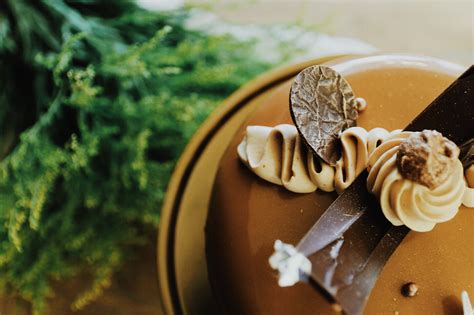 自介 醞釀太久的自介 看板 gay 批踢踢實業坊