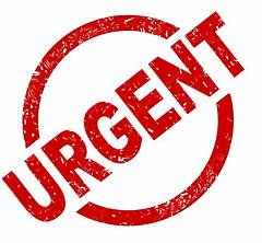 Urgent Is Your Brown Hair Color Blocking Highlights Lowlights To The Rescue