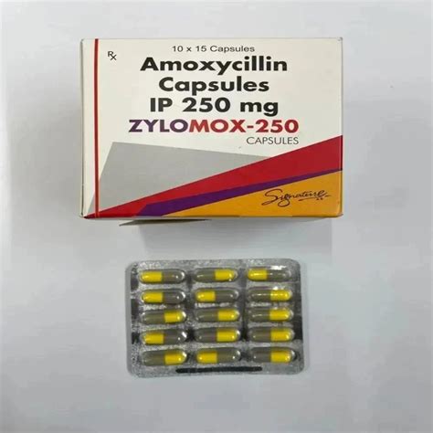 Amoxycillin Mg Capsules At Rs Stripe Antibiotic In Nagpur