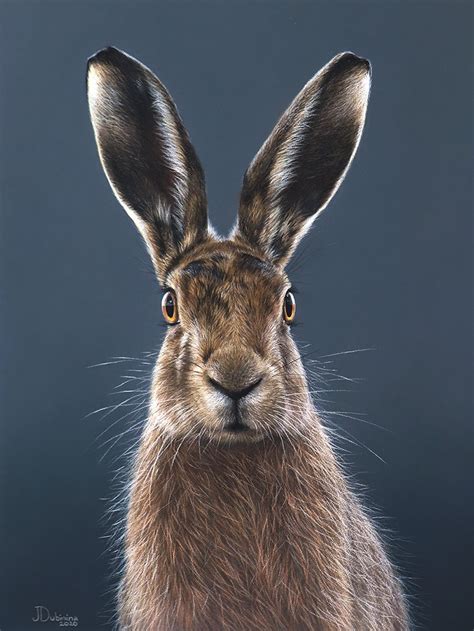 Запись вебинара "Заяц"