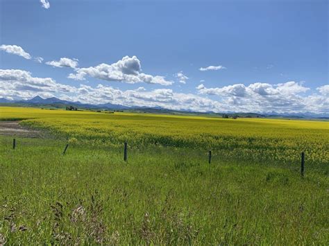 Waterloo Public Aroused By Forced Sale Of Farms Ontario Farmer