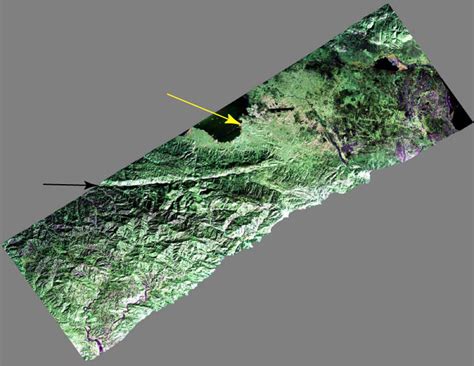 What are Earthquake Fault Lines? - Universe Today