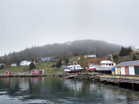 Newfoundland Trip May Icebergs Puffins And Dildo FlyerTalk Forums