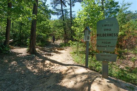 Shortoff Mountain Hike Incredible Views Of The Linville Gorge From A