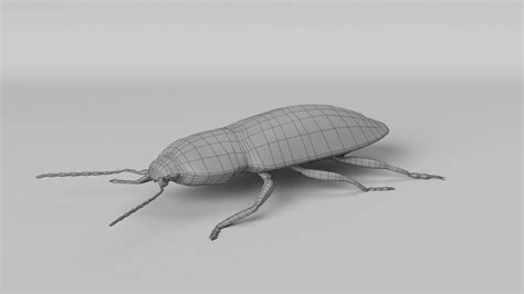 Beetles Bundle 3d Model Turbosquid 1714177