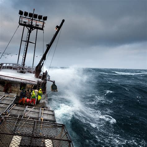 Crab Seasons In Bering Sea Hotsell Headhesgech